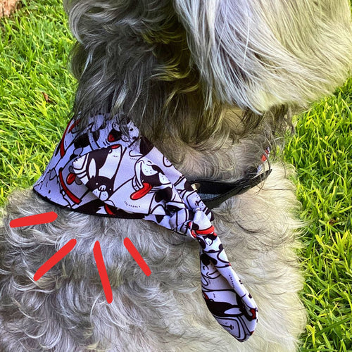 Bandana “Pandilla Perruna”