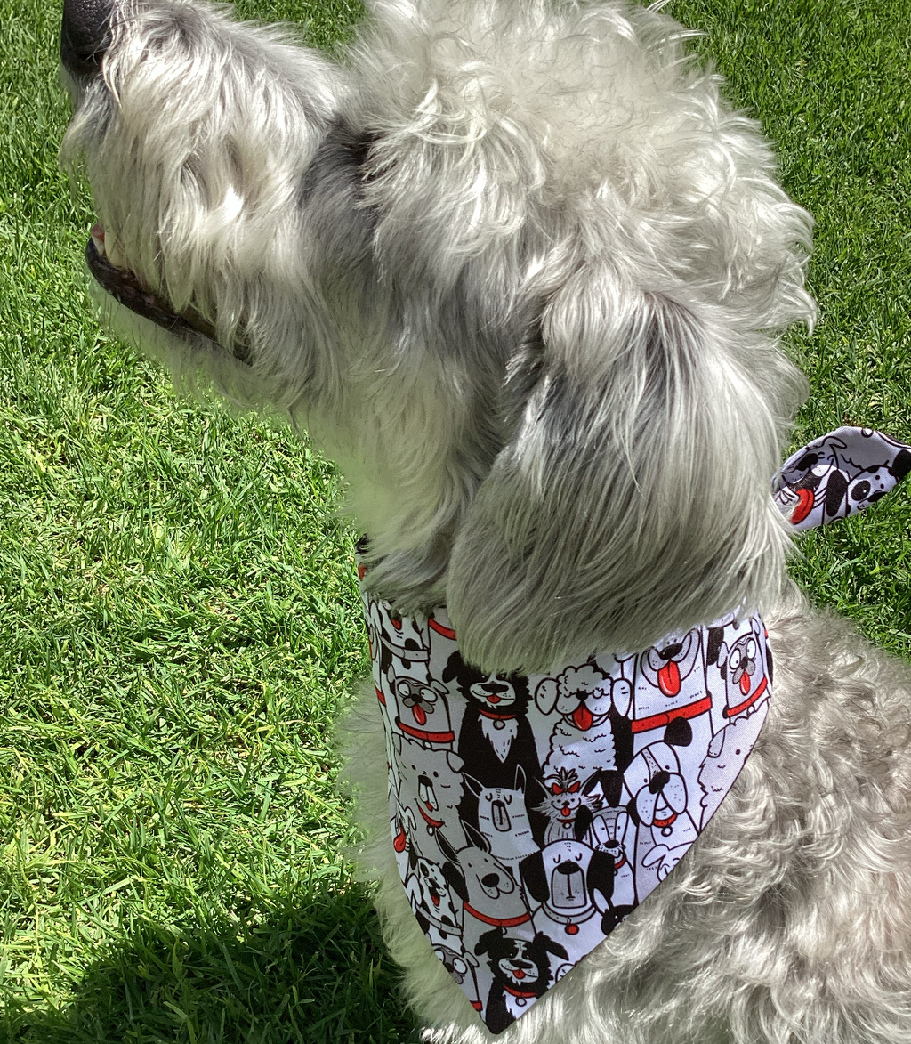 Bandana “Pandilla Perruna”