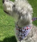 Bandana “Pandilla Perruna”
