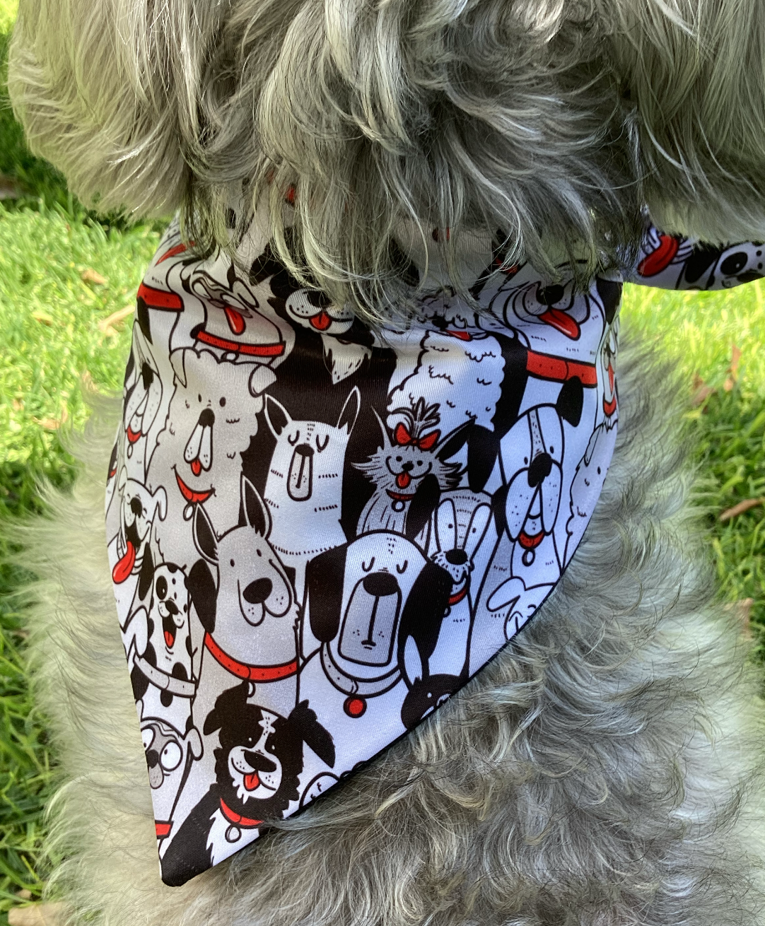 Bandana “Pandilla Perruna”