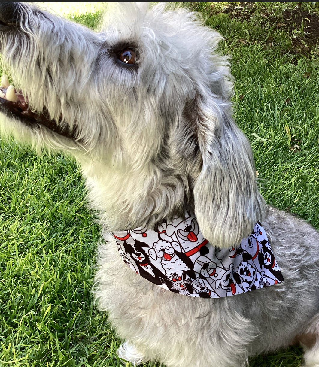 Bandana “Pandilla Perruna”